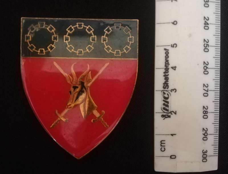 SADF Army Logistic Command flash, dark blue type.