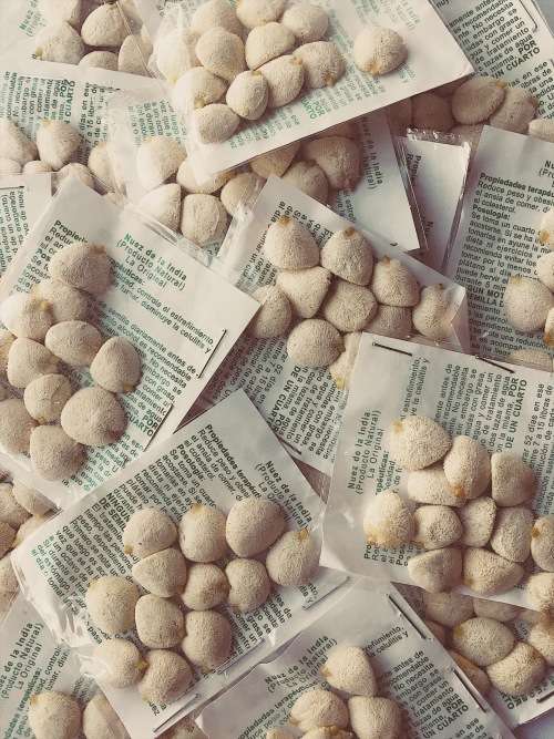 Nuez de la India 2 Packs of 12nuts (24 nuts) 100% original