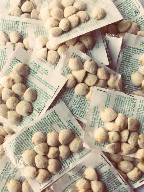 Nuez De La India 1 PACKS OF 12 Nuts (12 Nuts) 2 month supply