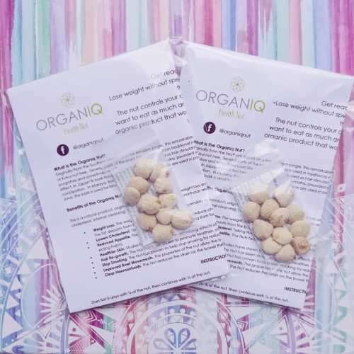Nuez De La India 100% natural 10 packs of 12 nuts (120 nuts)