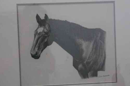 Horse Head Drawing by Gisela Marnewecke