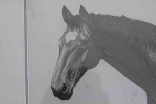 Horse Head Drawing by Gisela Marnewecke