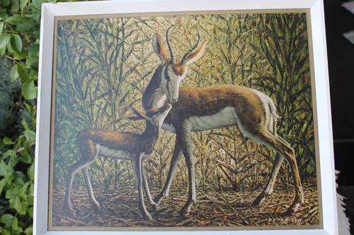Tretchikoff Springbok