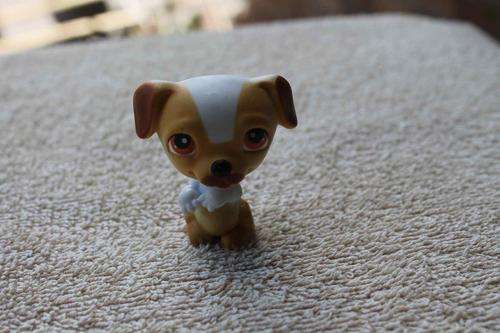 Littlest Pet Shop Figure Number 2