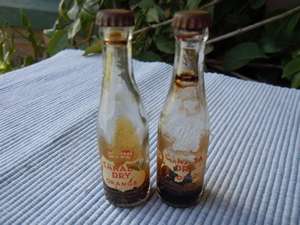 Vintage Canada Dry Miniature Bottles