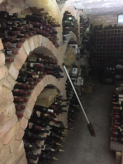 Cellar Full of wine Premium Brands