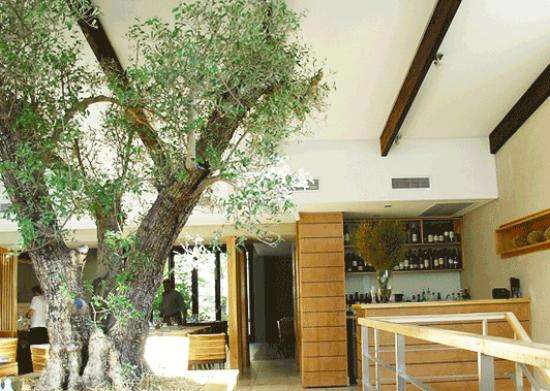 VISTA NOVA - 95 KEEROM RESTAURANT - GARDENS, CAPE TOWN - MEAL VOUCHER