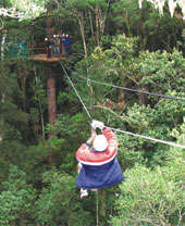 Tsitsikamma Canopy Tour