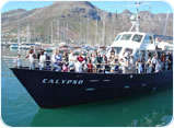 Circe Launches + Hout Bay