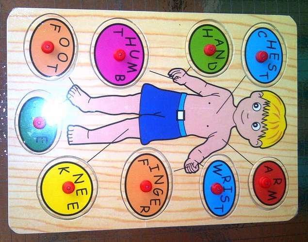 Wooden Educational Puzzle