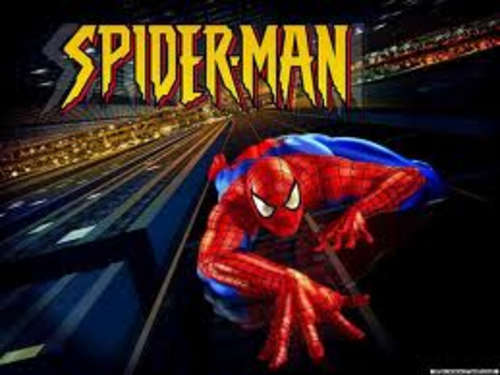 Spiderman Rain Jacket