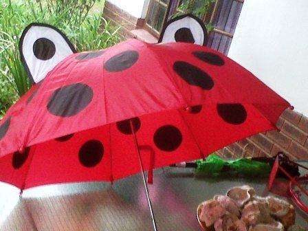 Lady Bug Umbrella - Collect them All