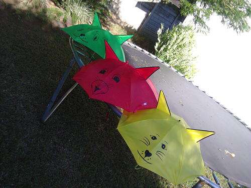 Umbrellas choose your own colour