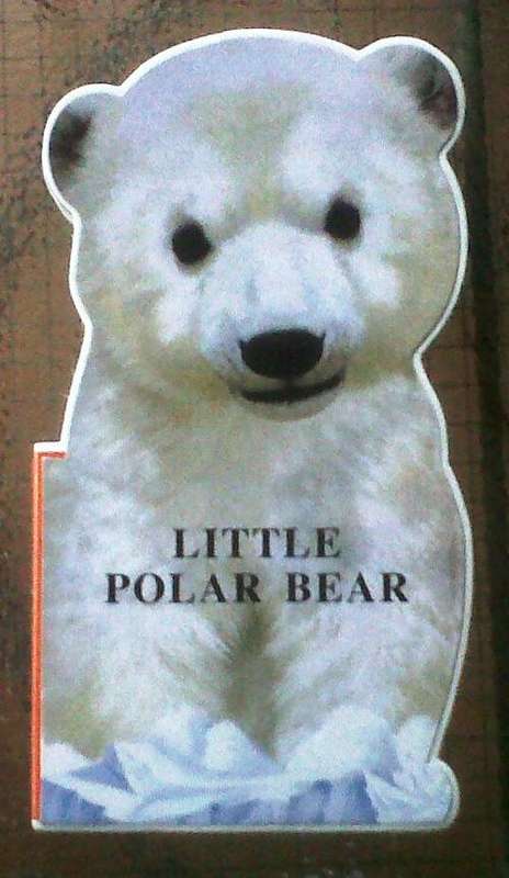 Little Poloar Bear - Hard Cover Book
