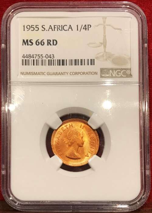 Finest Known Gem | 1955 S.Africa 1/4 Penny NGC Certified MS66RD | POP:2 | Brilliant RED Appearance