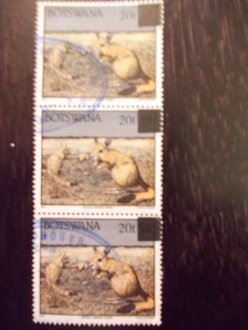 Botswana - 1992 Spring Hares - Used