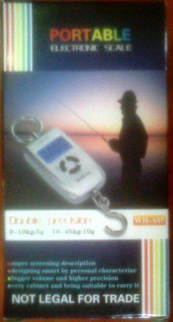 Scale Fishing