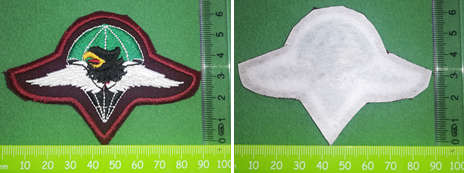 Para Bn Cloth Beret Badge