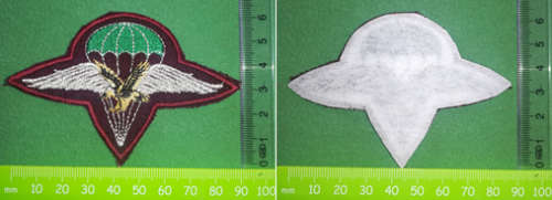 1 Para Beret Badge