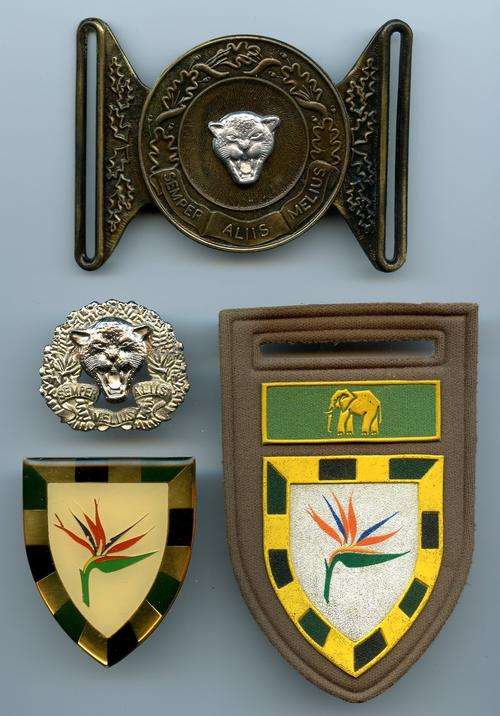 SA Army 6 Sai Bn Flashes/ Badge/ Buckel Lot