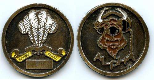 SA Army Infantry Corps Alpha Coy Medal