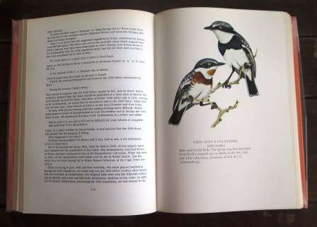 Ludwig Krebs Cape Naturalist to the king of Prussia 1820 - 28 - A.A. Balkema