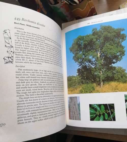 Trees of The Kruger National Park. 2 Volume set in Slip case.