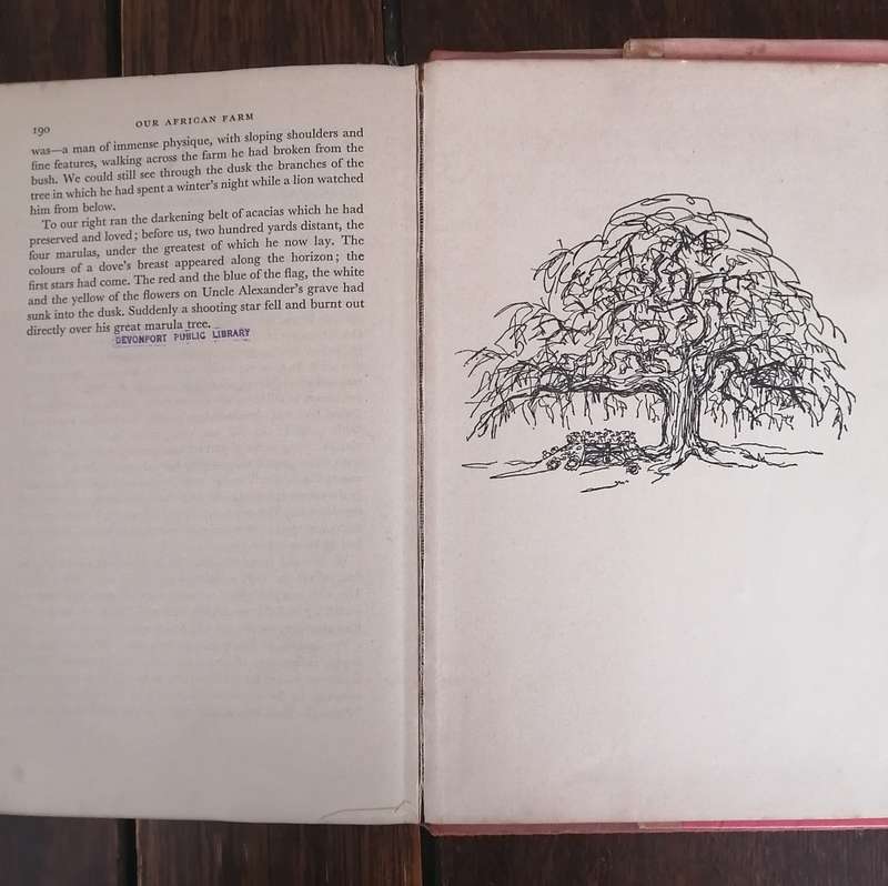 Our African Farm by Charlotte Truepeney (Rhodesia Interest)