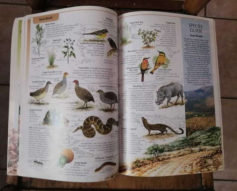 Pilanesberg  eco-guide , animals ,plants, history, habitats, map. Beautiful illustrations.