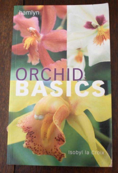 Orchid Basics - Isobyl la Croix