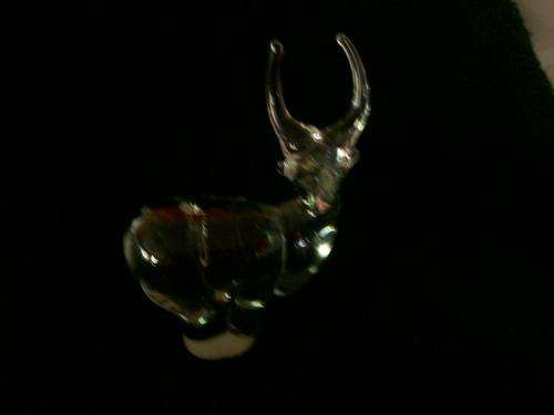 Ngwenya Antelope (c)