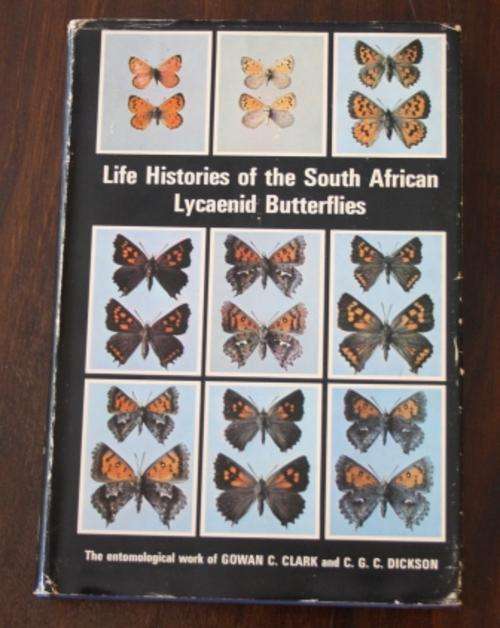 Life Histories of The South African Lycaenid Butterflies - Clark & Dickson