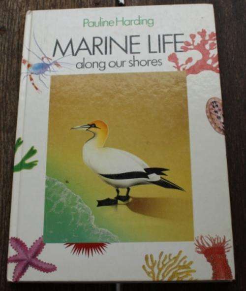 Marine Life along our shores - Pauline Harding