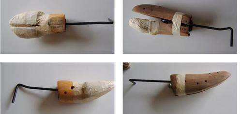 Two shoe horns