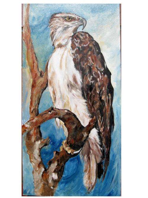 "Martial Eagle" 800 x 400mm! LARGE!! Collectors' item IRMA DE WAAL  Ready to hang!