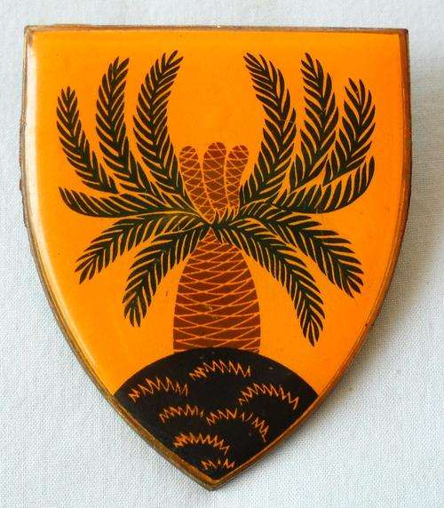 4 S AFRICA INFANTRY- 4 SAI-ARM FLASH / BADGE-SADF
