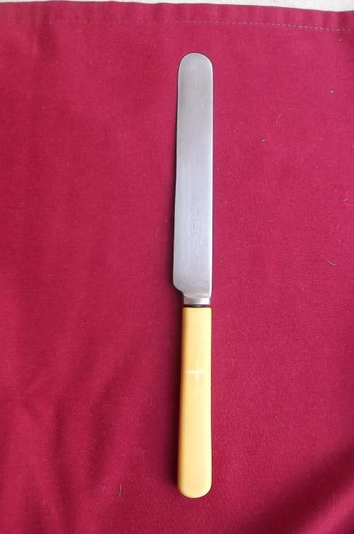 Robert f Mosley Rustor stain vintage dinner knife with Faux bone handle.See scans