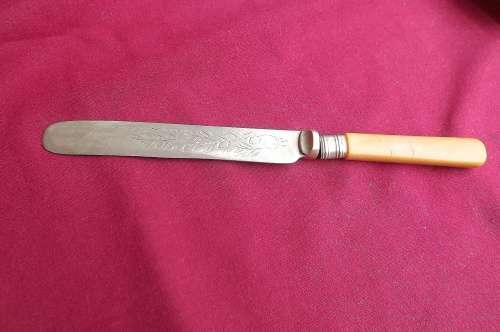 Antique bone handle butter knife with EPNS blade beautifully engraved.see scans.6.5cm