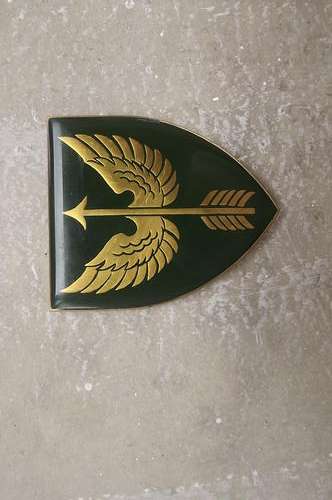 SADF Wemmerpan Commando shoulder flash