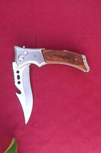 Folding Knife with Stainless Steel Blade