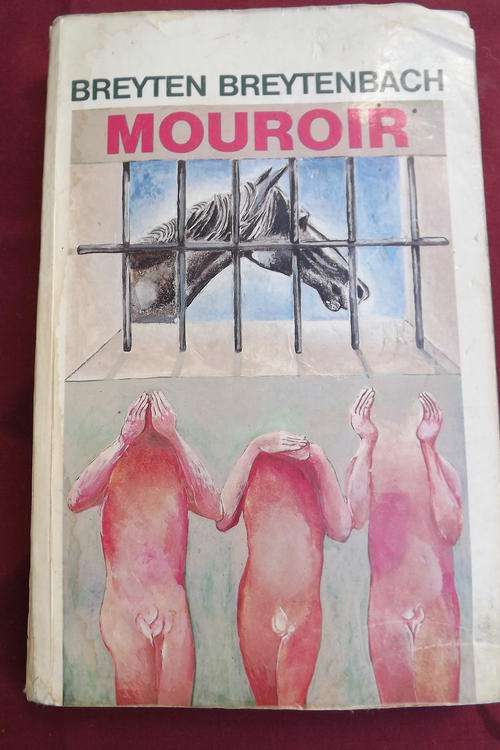 Book - Mouroir deur Breyten Breytenbach - 16  verhale
