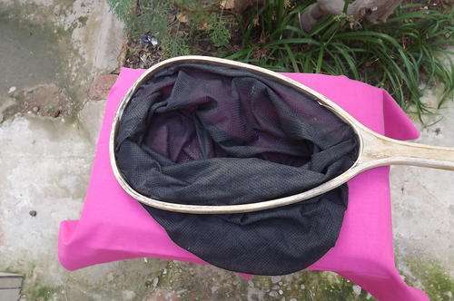Fishing Net for Small Fish - length 56cm