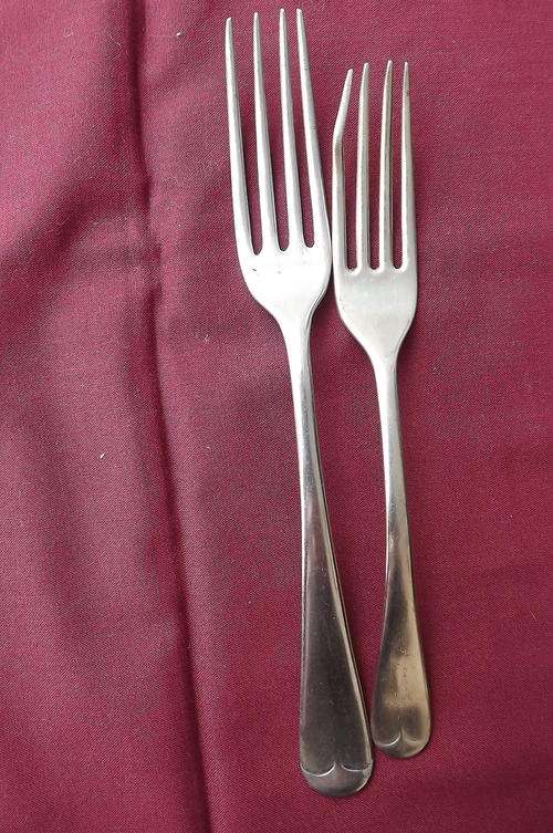 Set of 2 EPNS Forks