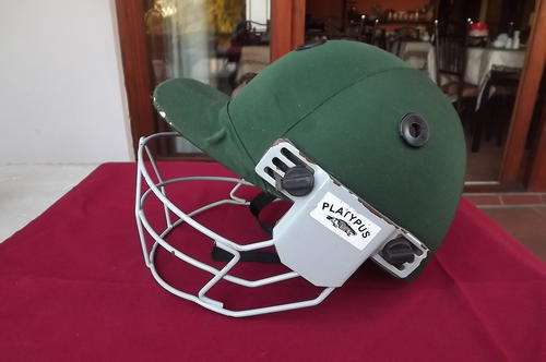 Wasp Cricket Hat with Platypus Steel Grill - see scans for condition