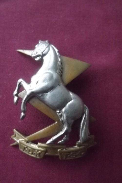 SADF Technical Service Corpse Hat Badge with Fasteners - good condition