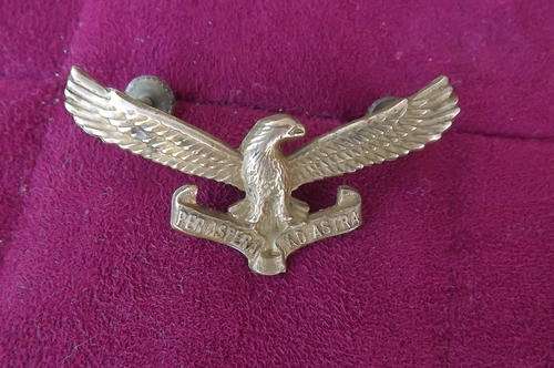 South African Air Force Cap Badge - worn since 1959 - good condition with screws & bolts