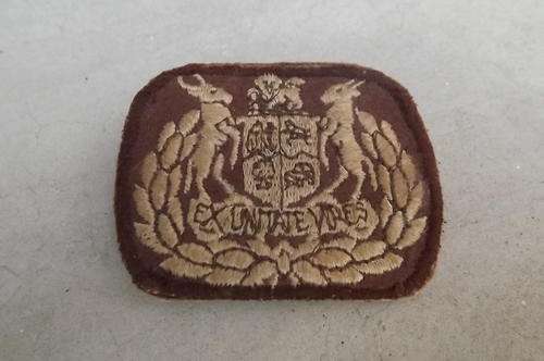 SADF Brown Background Ex Unitate Vires Cloth Badge as per scan
