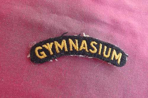 SA Airforce Gymnasium cloth badge 1950 to 1960.