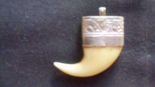 Lions Claw Pendant with Silver Rim
