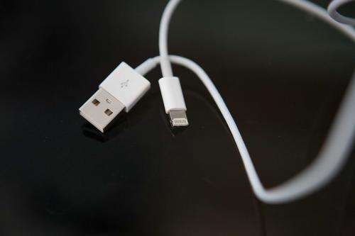 iPhone 5s cable - High Quality Generic
